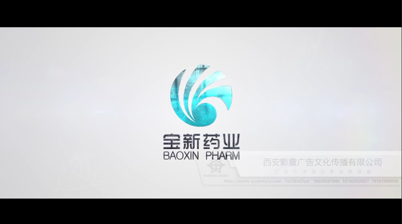 宝新药业